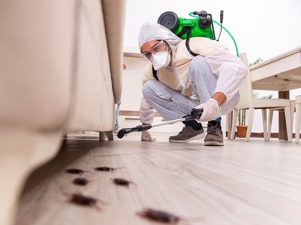 Biopest Çevre Sağlığı İlaçlama ve Dezenfeksiyon Hizmetleri 