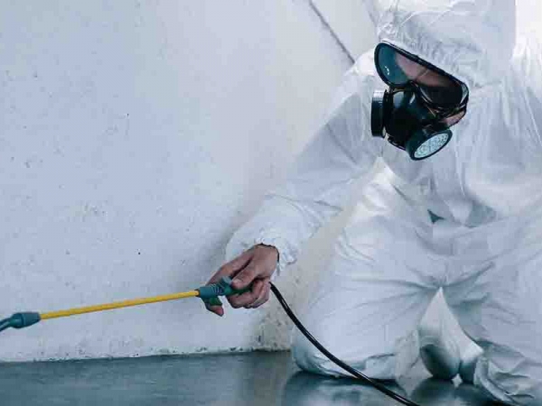 Biopest Çevre Sağlığı İlaçlama ve Dezenfeksiyon Hizmetleri 